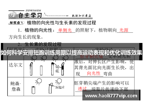 如何科学安排短跑训练周期以提高运动表现和优化训练效果