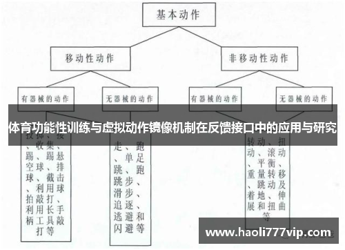 体育功能性训练与虚拟动作镜像机制在反馈接口中的应用与研究